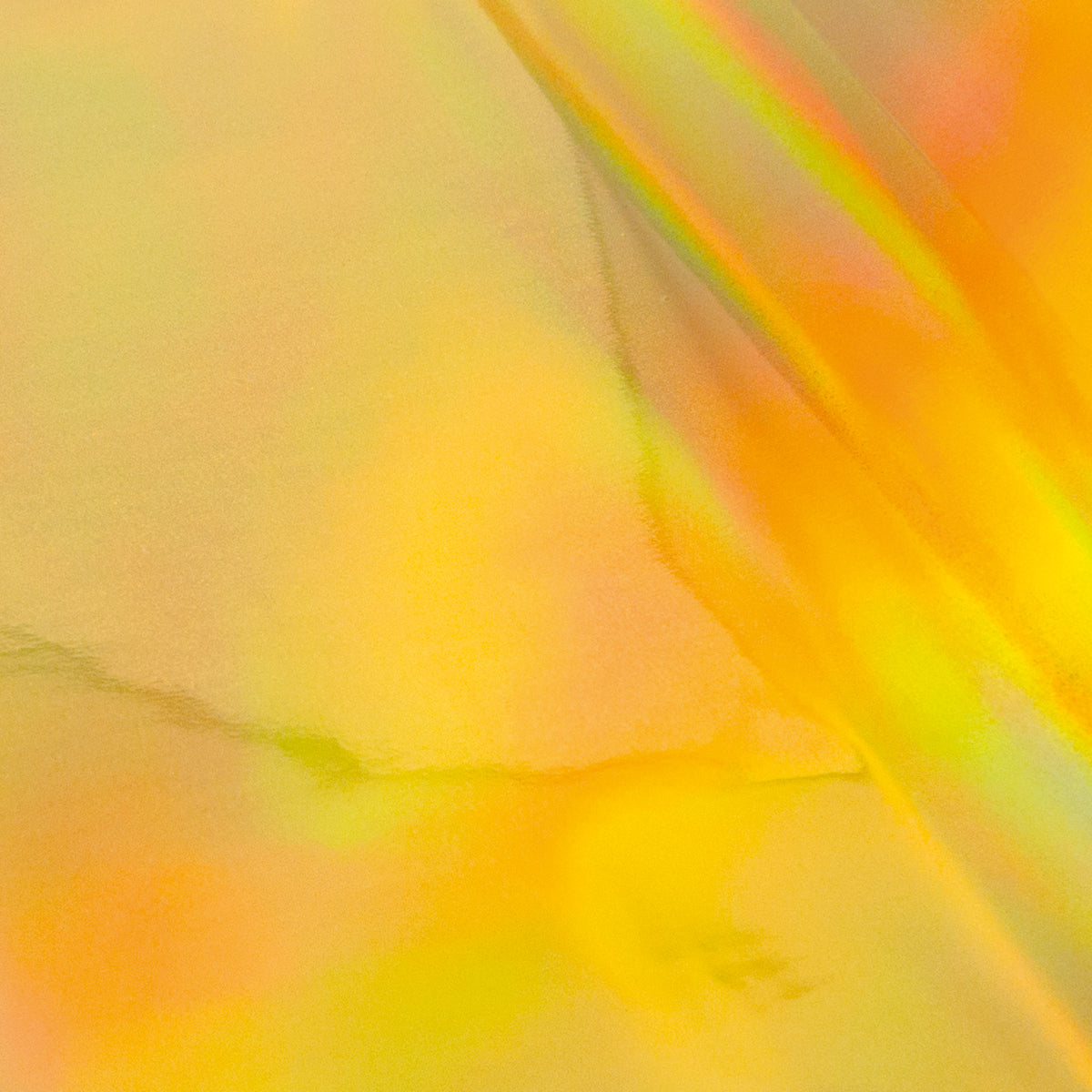 Foil