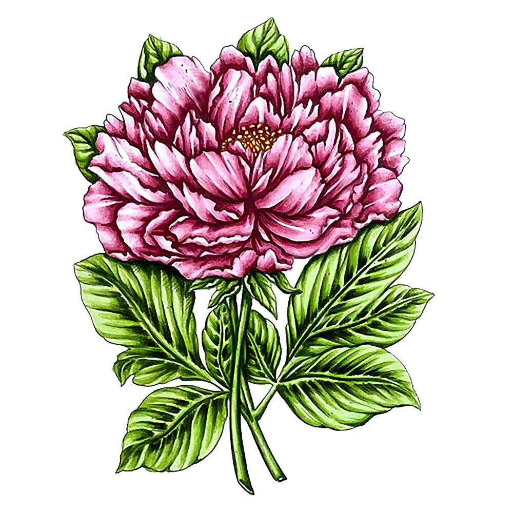 Stamp and Colour Set - Vintage Blooms - Peony (5pc)