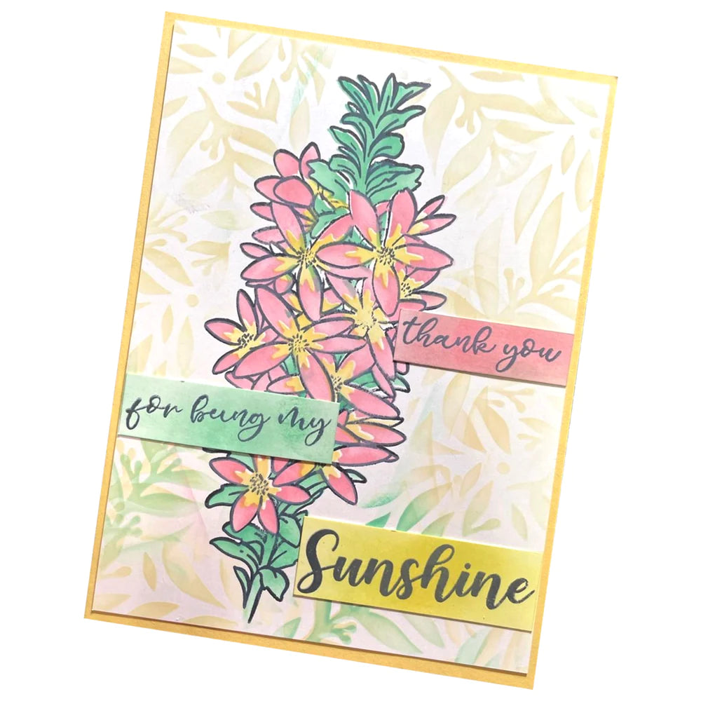 Stamp, Die & Stencil - Box Leaf & Waxflowers