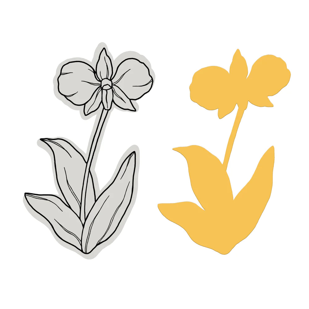 Australia's Natural Beauties - Cooktown Orchid Stamp and Dies