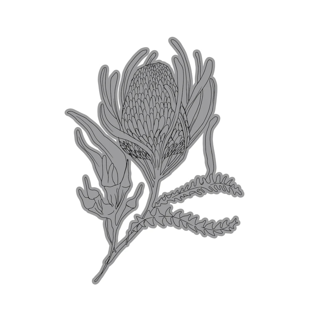 Australia The Lucky Country - Stamp - Banksia