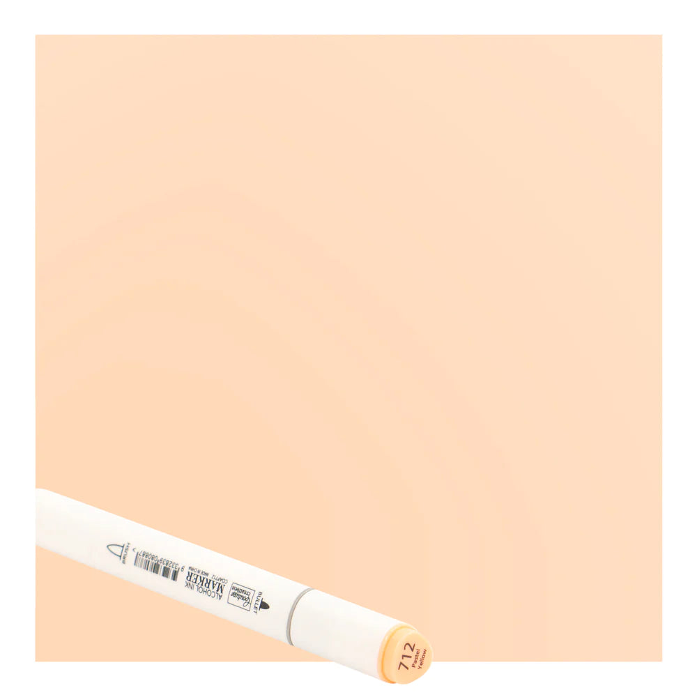 Twin Tip Alcohol Ink Marker Part2