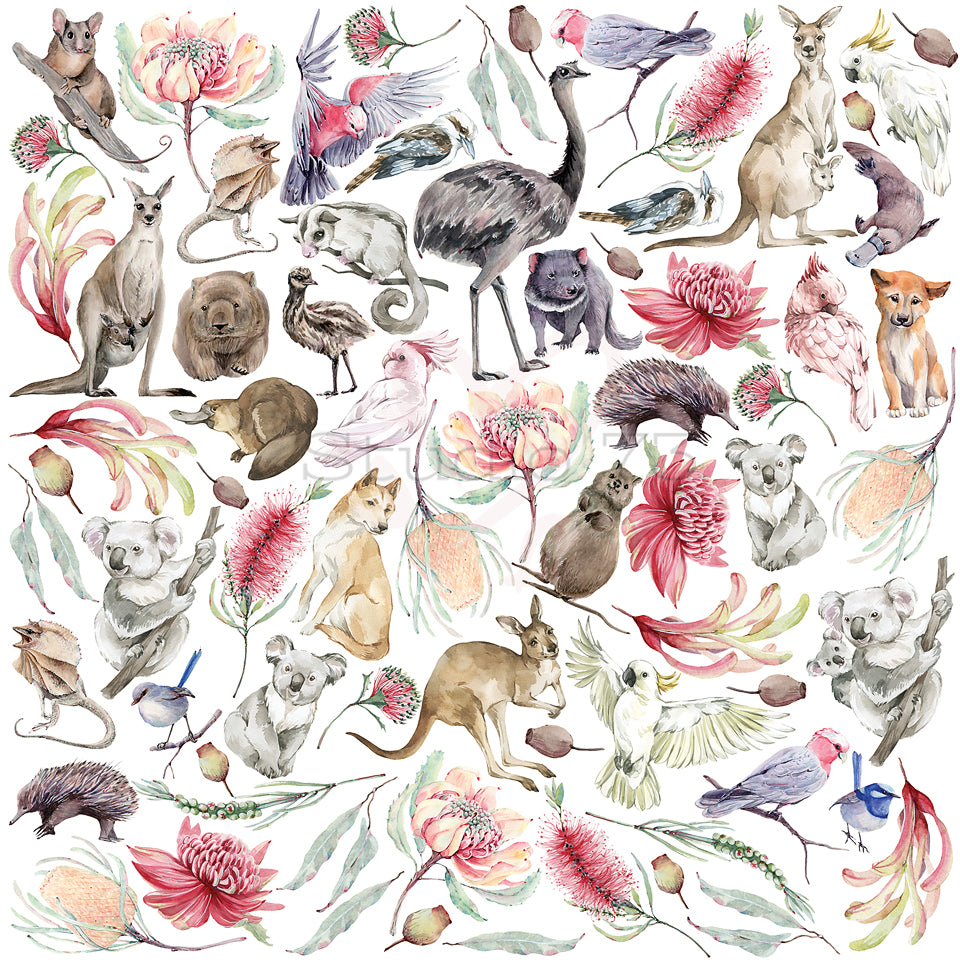 Double Sided Patterned Papers (SOLD BY THE SHEET) - Land Down Under