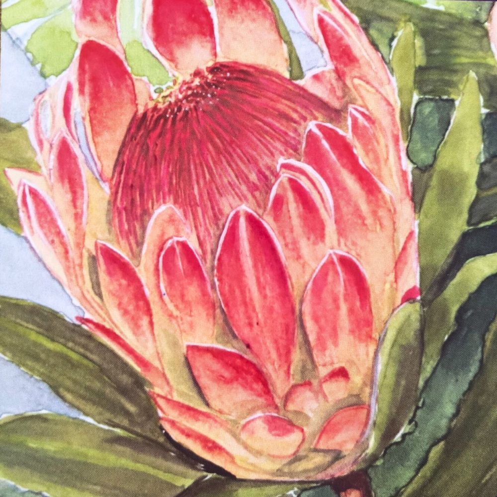 Watercolour Pad German Paper A5 300gsm 12sht