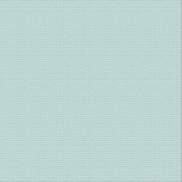 Cardstock - 12x12 - (216gsm)