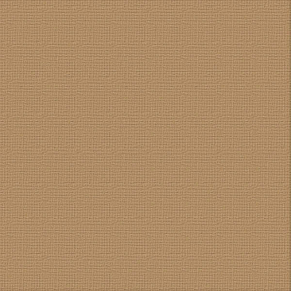 Cardstock - 12x12 - (216gsm)