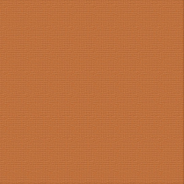 Cardstock - 12x12 - (216gsm)