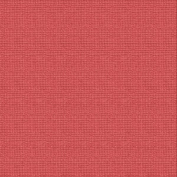 Cardstock - 12x12 - (216gsm)