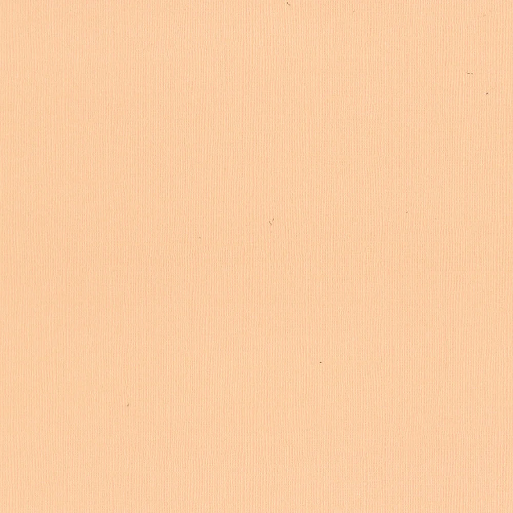 Cardstock - 12x12 - (216gsm)