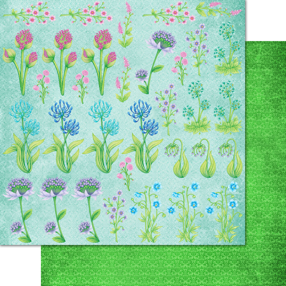Decorative Dragonfly Paper Collection