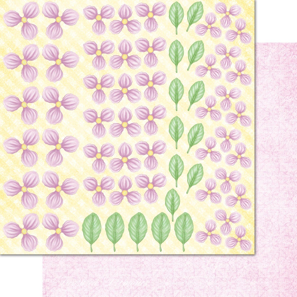 Sweet Magnolia Paper Collection