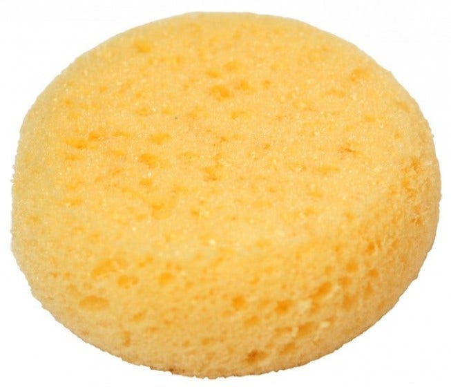 Hydra Sponges