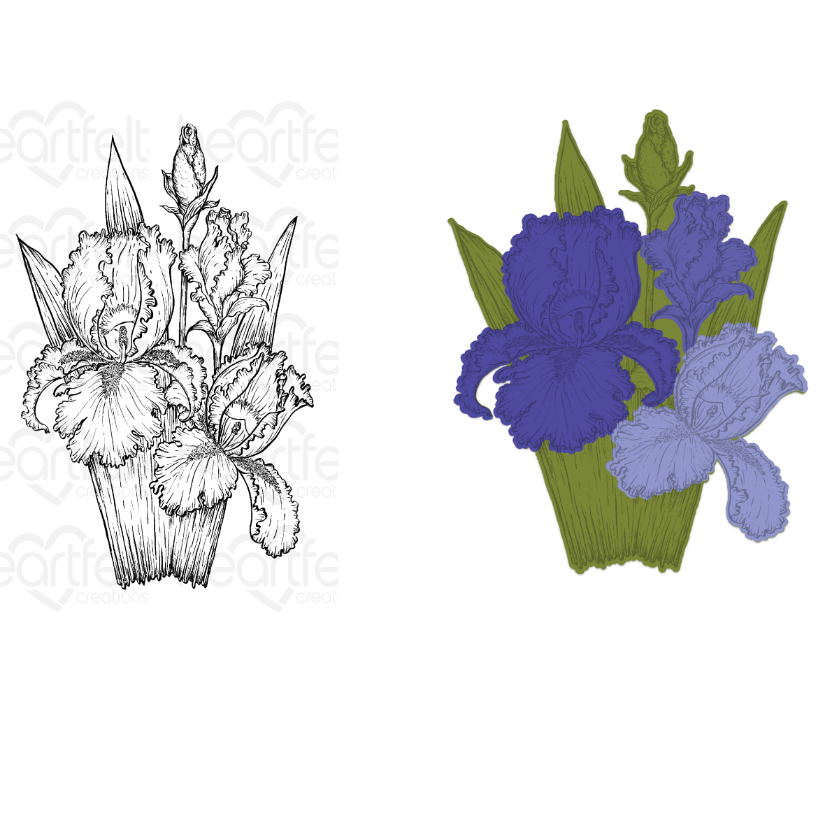 Iris Garden Blooms Cling Stamp Set and Die COMBO