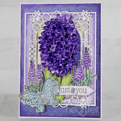 Regal Frame & Accents Die
