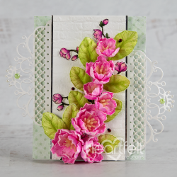 Regal Pocket Accents Die