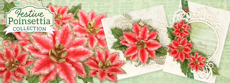 Festive Poinsettia