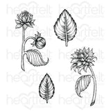 Dahlia and Leaves Cling Stamp Set And Die COMBO