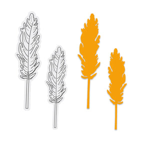 Stamp and Dies - Pampas Grass - Approx. 50 x 50mm