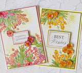 Stamp and Colour Stamp - Homely Florals - Acacia Dreams Set (7pc)