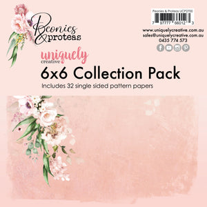 Peonies & Proteas 6 x 6 Collection Pack