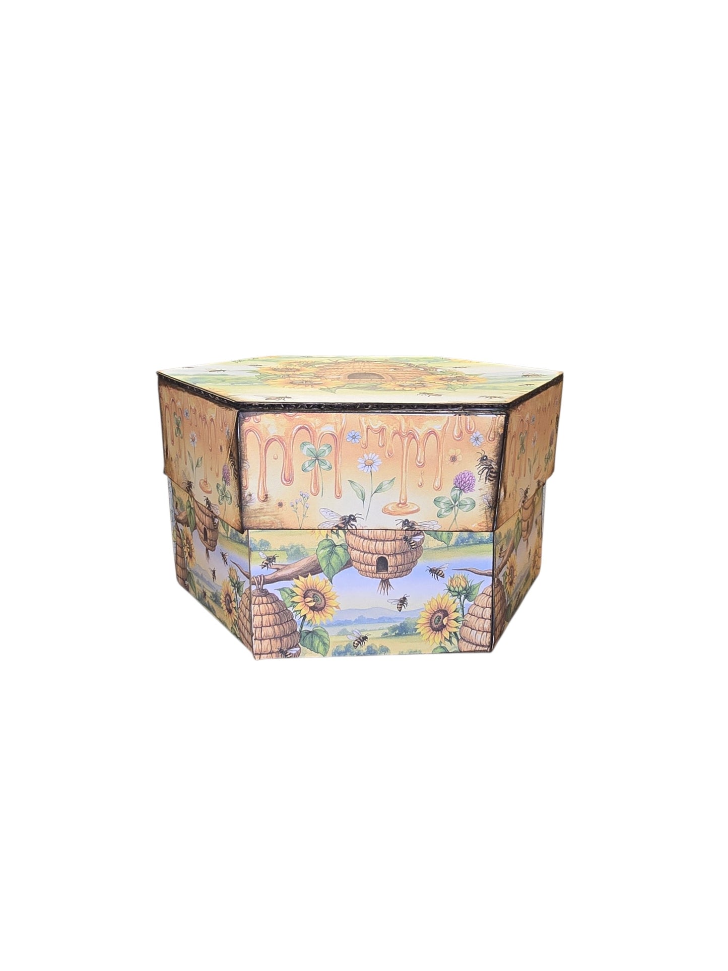 Bee-utiful Memories
Exploding Photo Box & Hexagon Accordion Journal Class