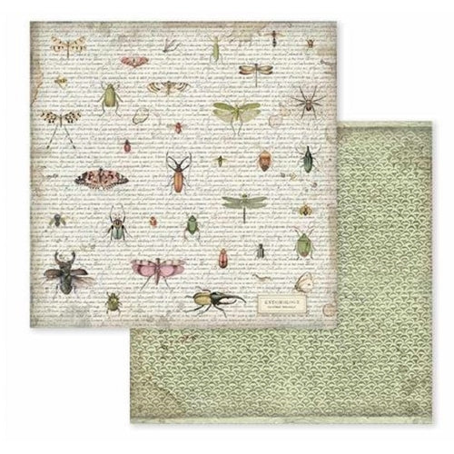 Stamperia SPRING BOTANIC 12x12 Paper