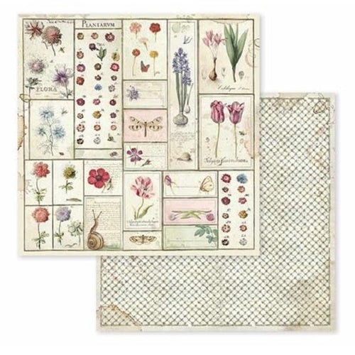 Stamperia SPRING BOTANIC 12x12 Paper
