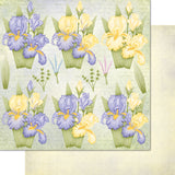 Iris Garden Paper Collection