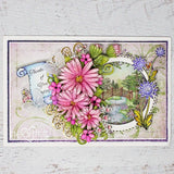 Wild Aster Scroll & Cluster Cling Stamp Set and Die COMBO