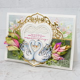 Feathery Swan Cling Stamp Set and Die COMBO