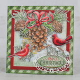 Festive Pine Cones Cling Stamp Set and Die COMBO
