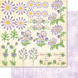 Wild Aster Paper Collection