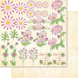 Wild Aster Paper Collection