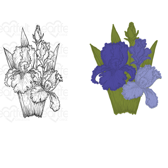 Iris Garden Blooms Cling Stamp Set and Die COMBO